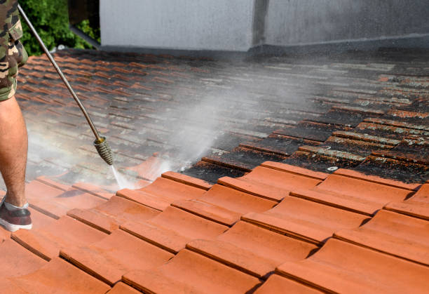 Best House Pressure Washing  in Union City, NJ