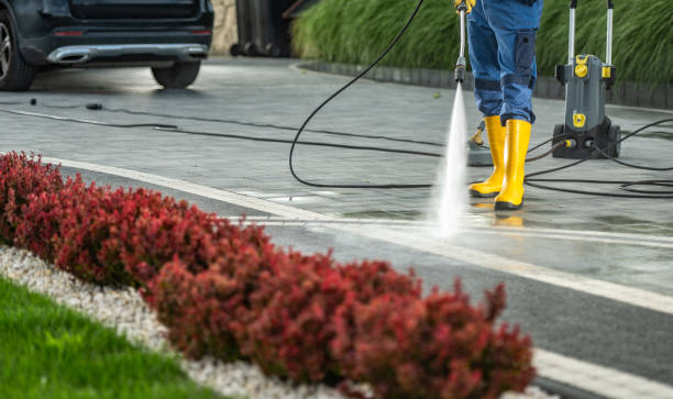 Best Concrete Pressure Washing  in Union City, NJ